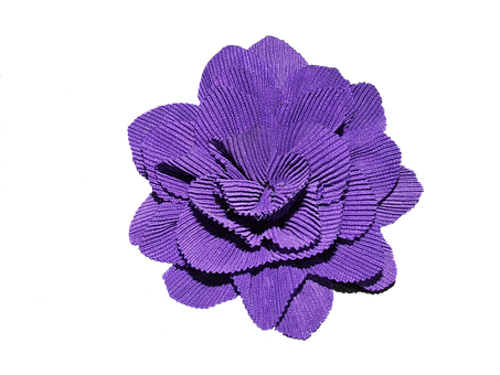 Vibrant Purple Flower Black Background PNG image
