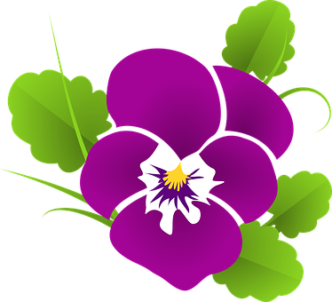 Vibrant Purple Pansy Vector PNG image