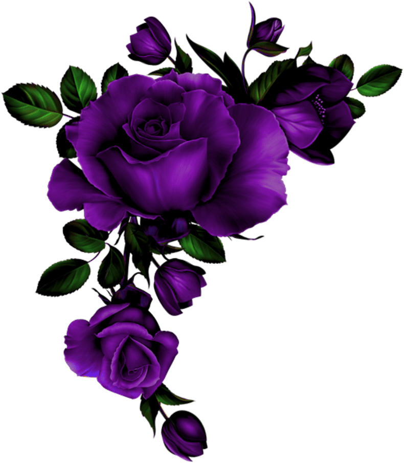 Vibrant Purple Roses Artwork PNG image