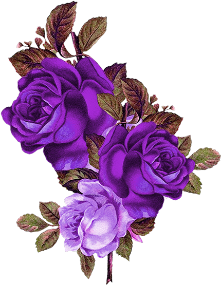 Vibrant_ Purple_ Roses_ Artwork.png PNG image