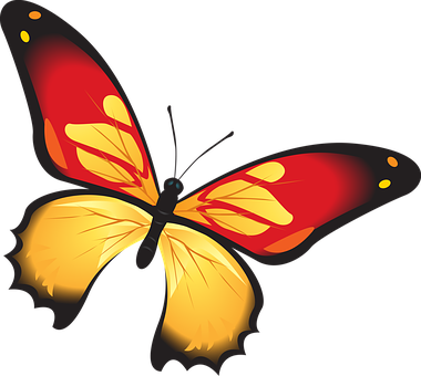 Vibrant_ Red_and_ Yellow_ Butterfly_ Vector PNG image