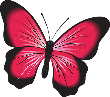 Vibrant Red Butterfly Illustration PNG image