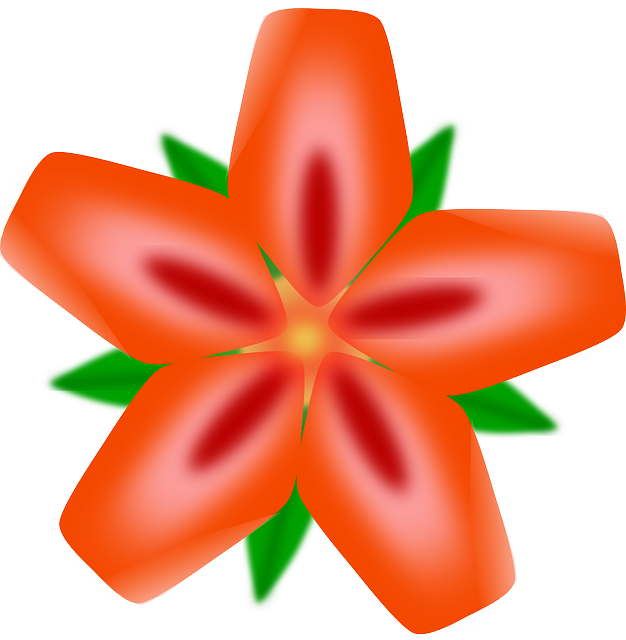 Vibrant_ Red_ Hawaiian_ Flower_ Illustration PNG image