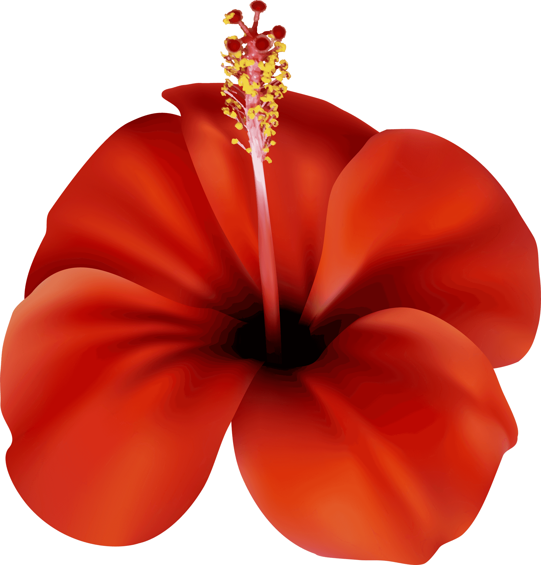 Vibrant_ Red_ Hibiscus_ Clipart.png PNG image