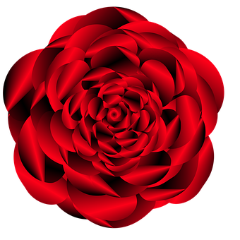 Vibrant Red Rose Black Background PNG image