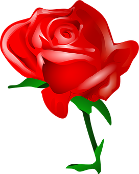 Vibrant Red Rose Illustration PNG image