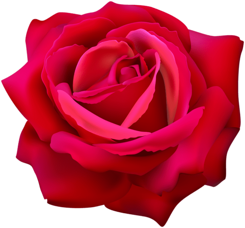 Vibrant Red Rose3 D Render PNG image