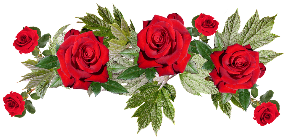 Vibrant_ Red_ Roses_ Arrangement.png PNG image