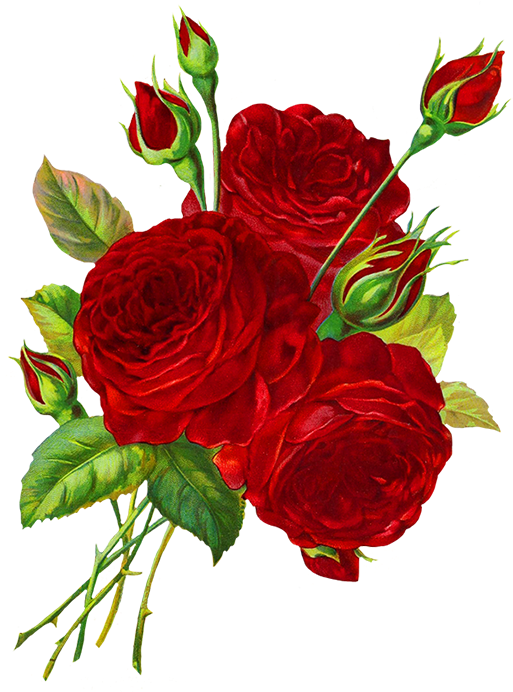 Vibrant Red Roses Artwork.png PNG image