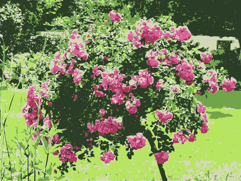 Vibrant Rose Bush Artwork PNG image