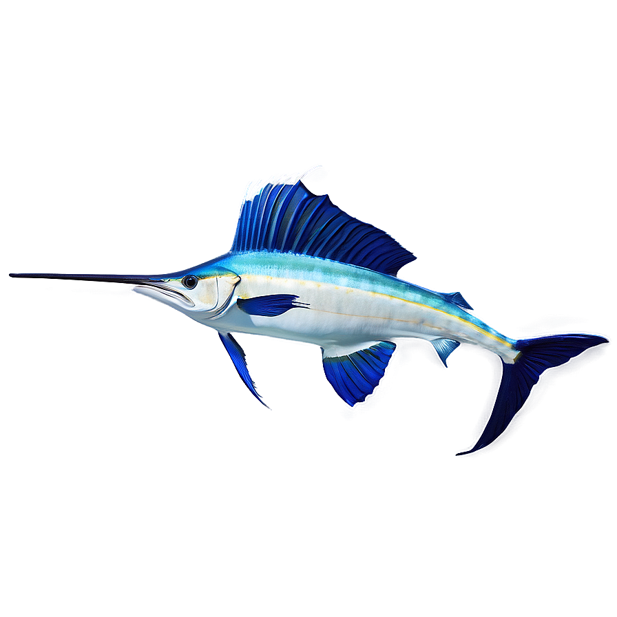 Vibrant Sailfish Picture Png Hvx PNG image