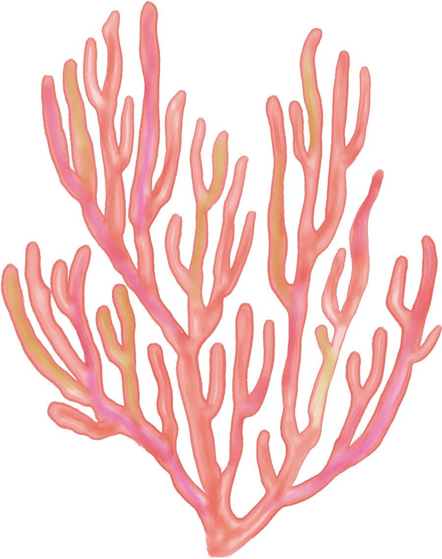 Vibrant Sea Fan Coral PNG image