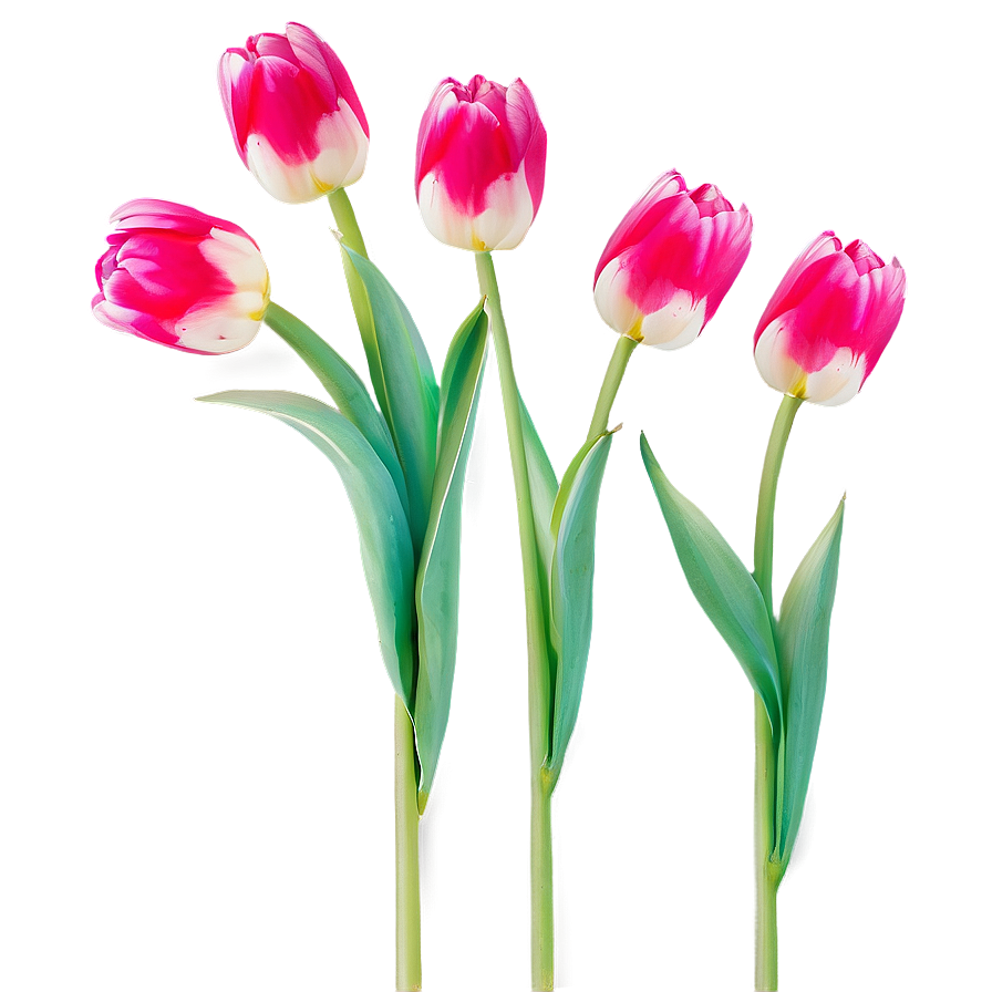 Vibrant Spring Tulips Png Wlu PNG image