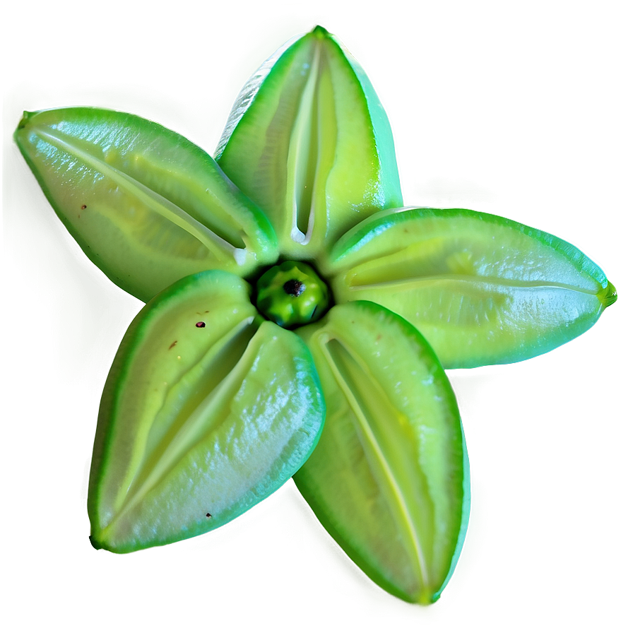 Vibrant Starfruit Png 05232024 PNG image