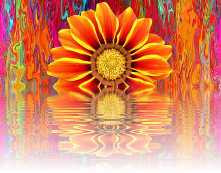 Vibrant Summer Bloom Reflection PNG image