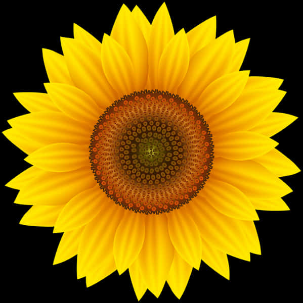 Vibrant Sunflower Against Black Background PNG image