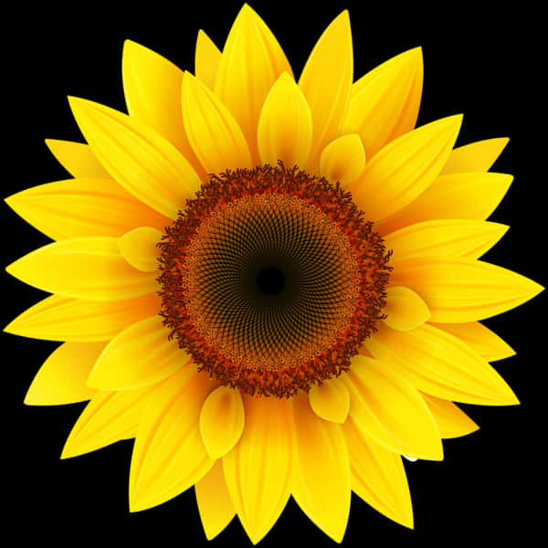 Vibrant Sunflower Black Background PNG image