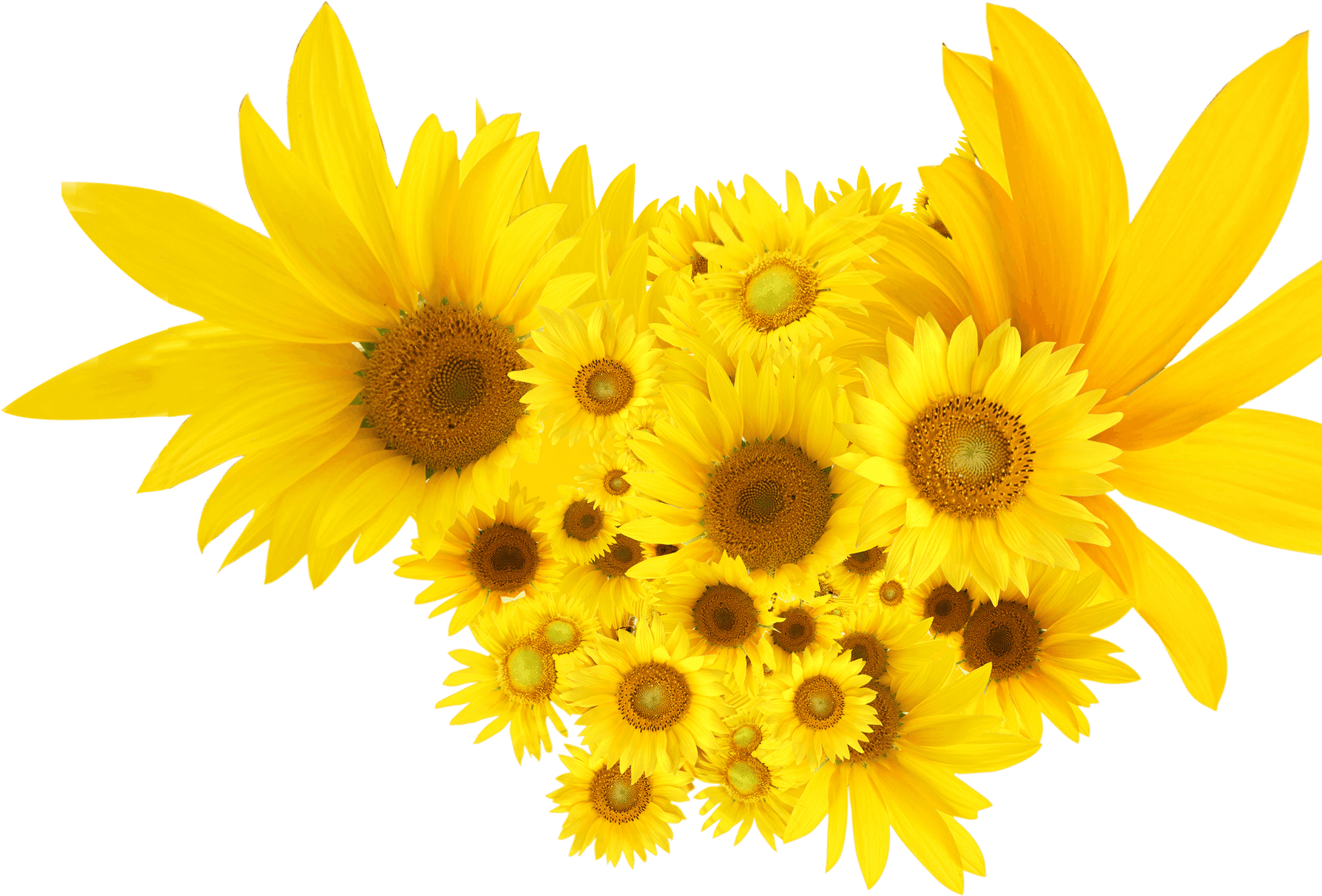 Vibrant Sunflower Bouquet.png PNG image