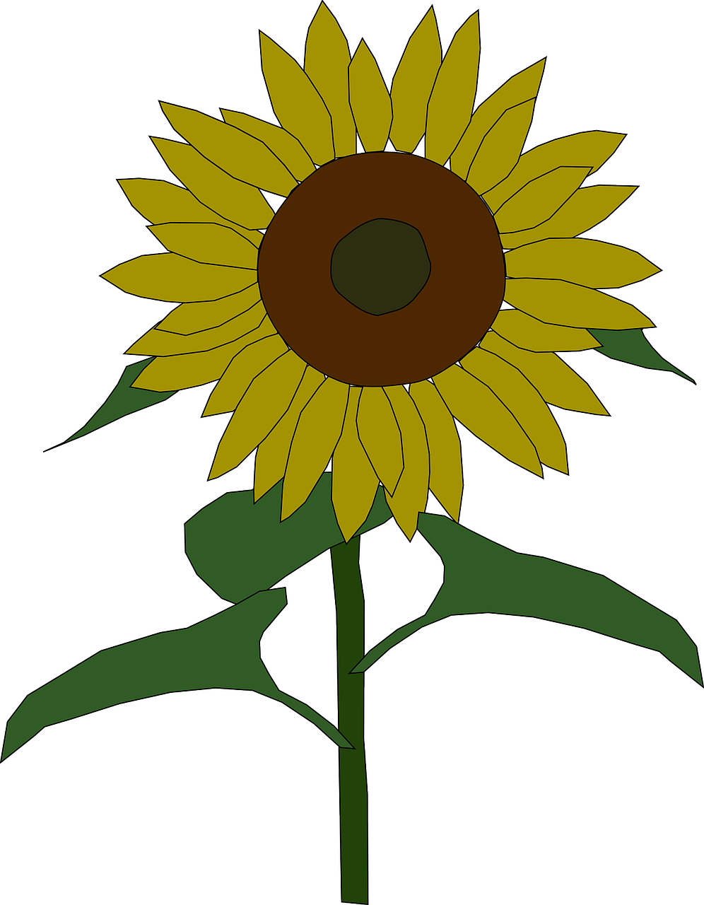 Vibrant Sunflower Clipart PNG image