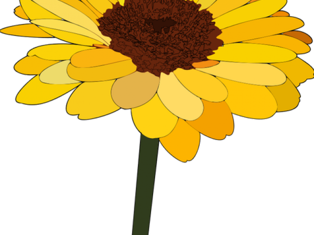 Vibrant Sunflower Clipart PNG image