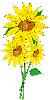 Vibrant Sunflower Illustration PNG image