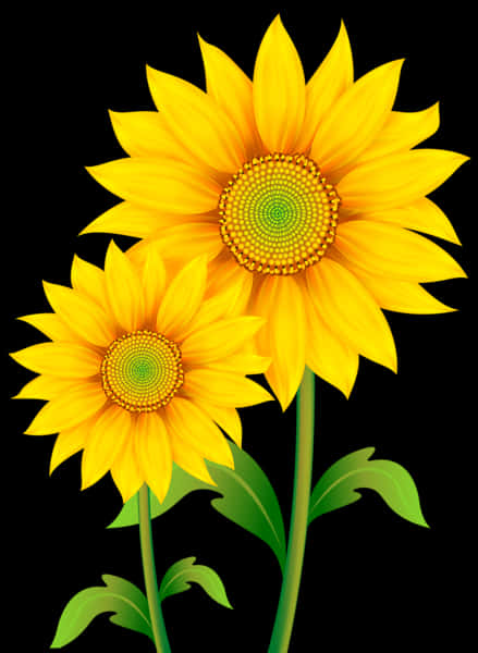 Vibrant Sunflowers Black Background PNG image