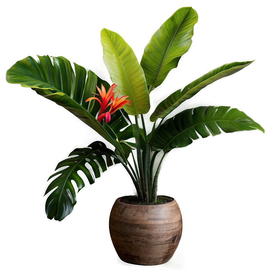 Vibrant Tropical Plants Png Sen PNG image