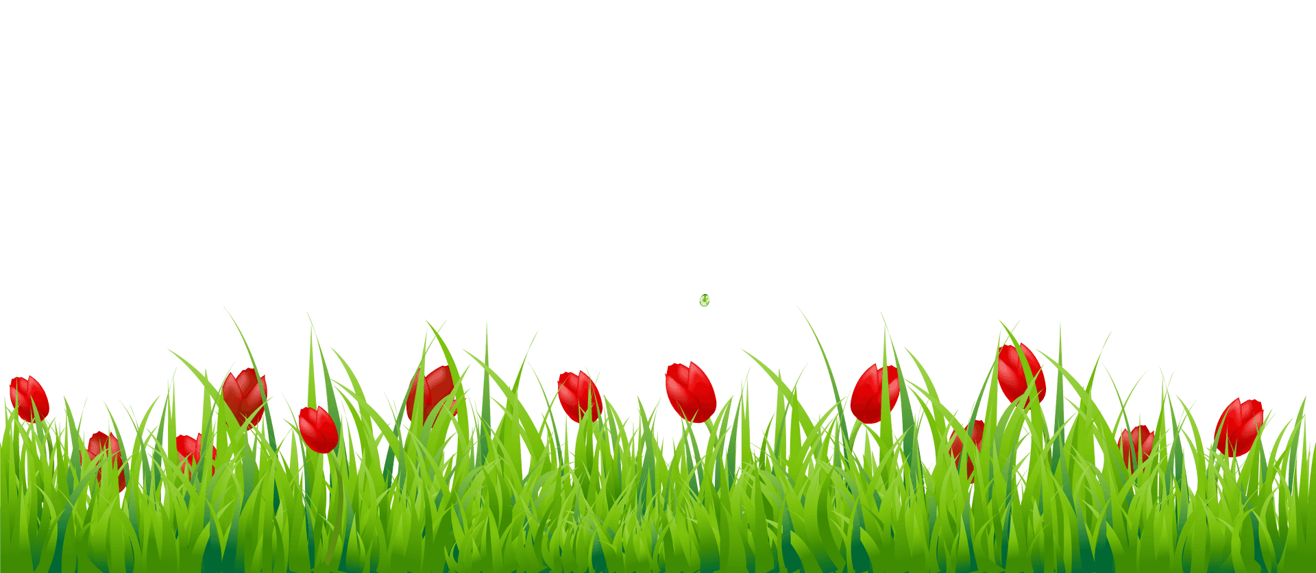 Vibrant Tulipsin Green Grass PNG image