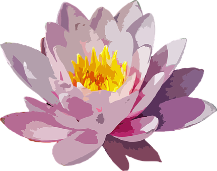 Vibrant_ Water_ Lily_ Illustration.png PNG image