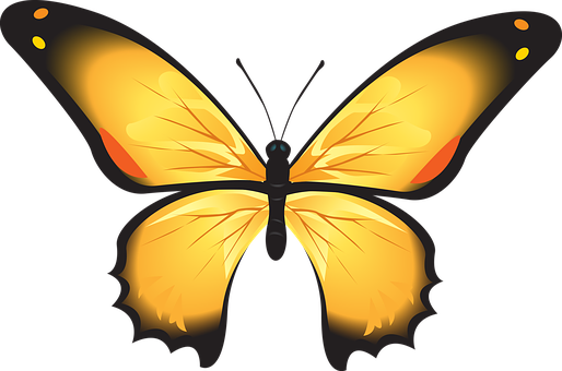 Vibrant Yellow Butterfly Illustration PNG image