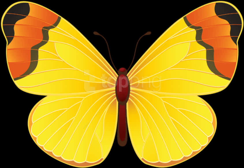 Vibrant Yellow Butterfly Illustration PNG image