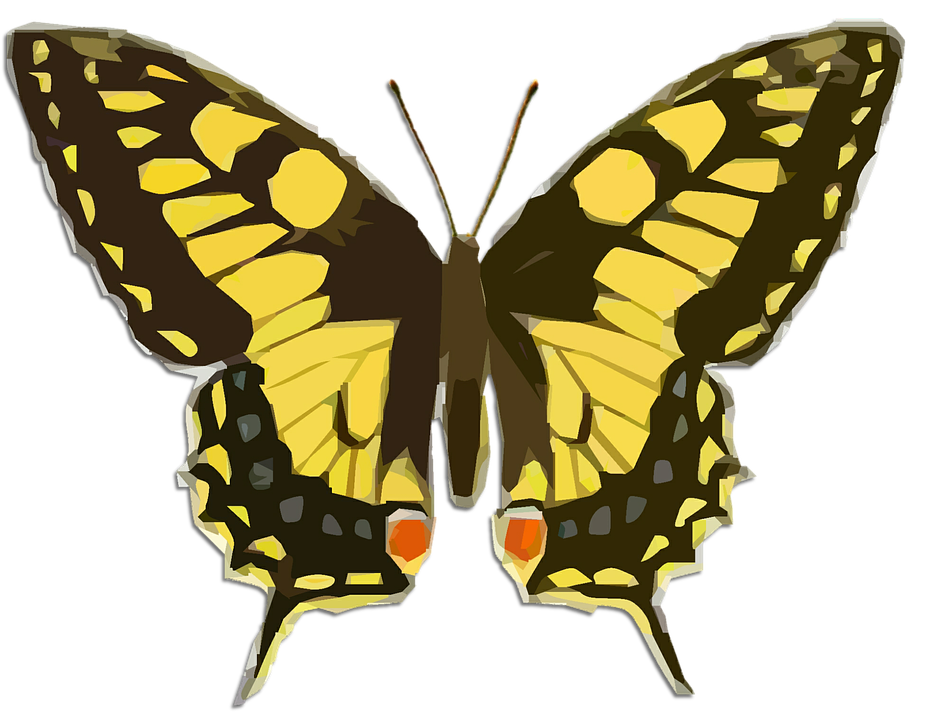 Vibrant Yellow Butterfly Illustration PNG image