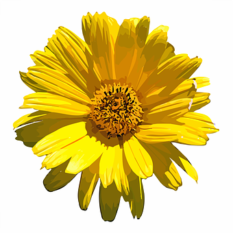 Vibrant Yellow Flower Illustration PNG image