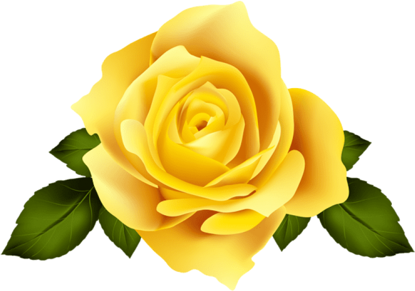 Vibrant Yellow Rose Graphic PNG image