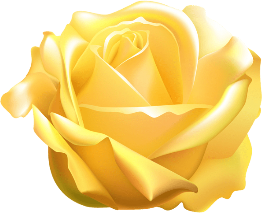 Vibrant Yellow Rose Illustration PNG image