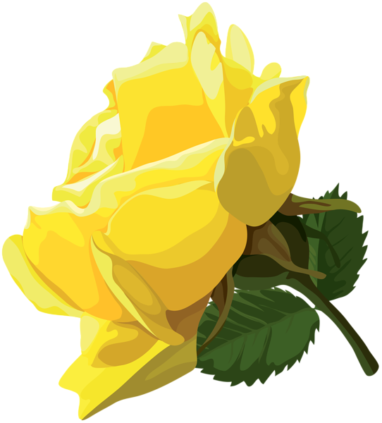 Vibrant Yellow Rose Illustration PNG image