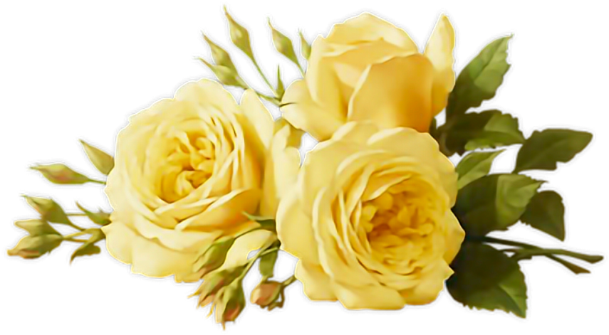 Vibrant Yellow Roses Bouquet PNG image