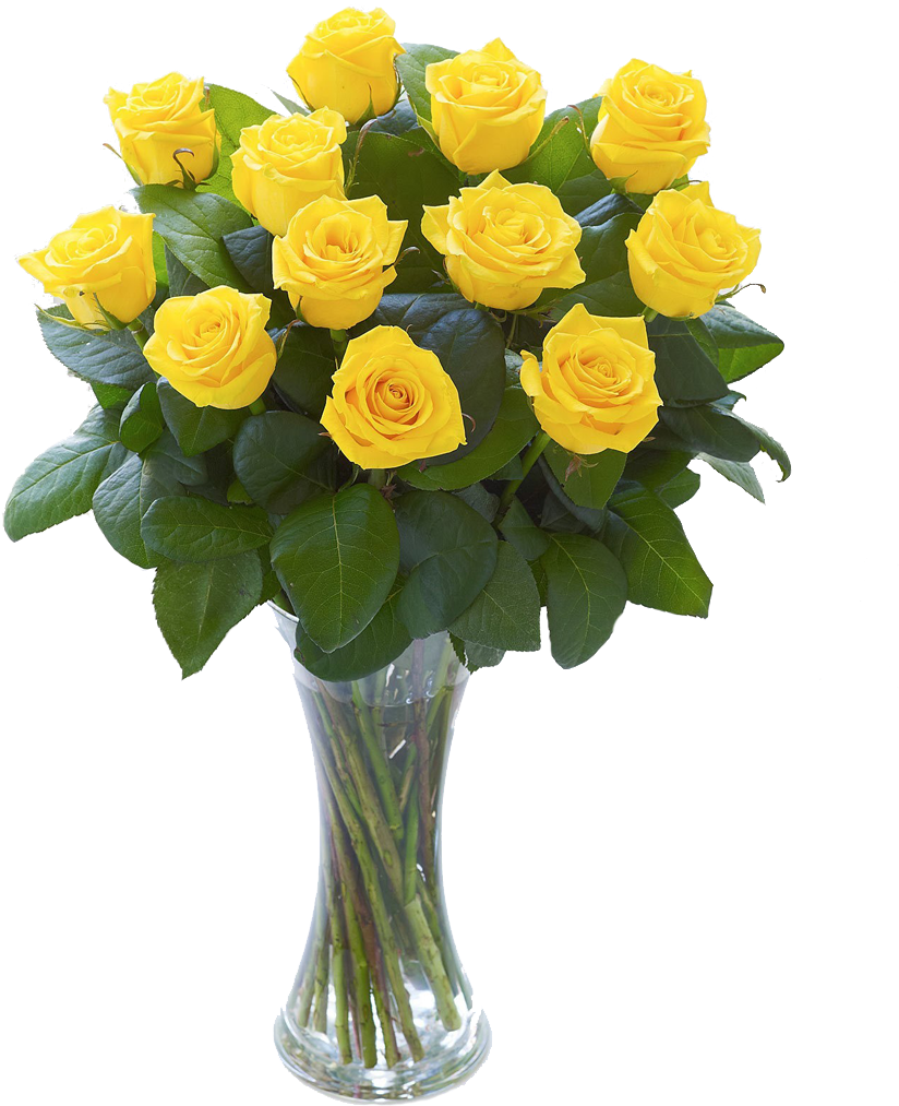 Vibrant Yellow Rosesin Vase PNG image