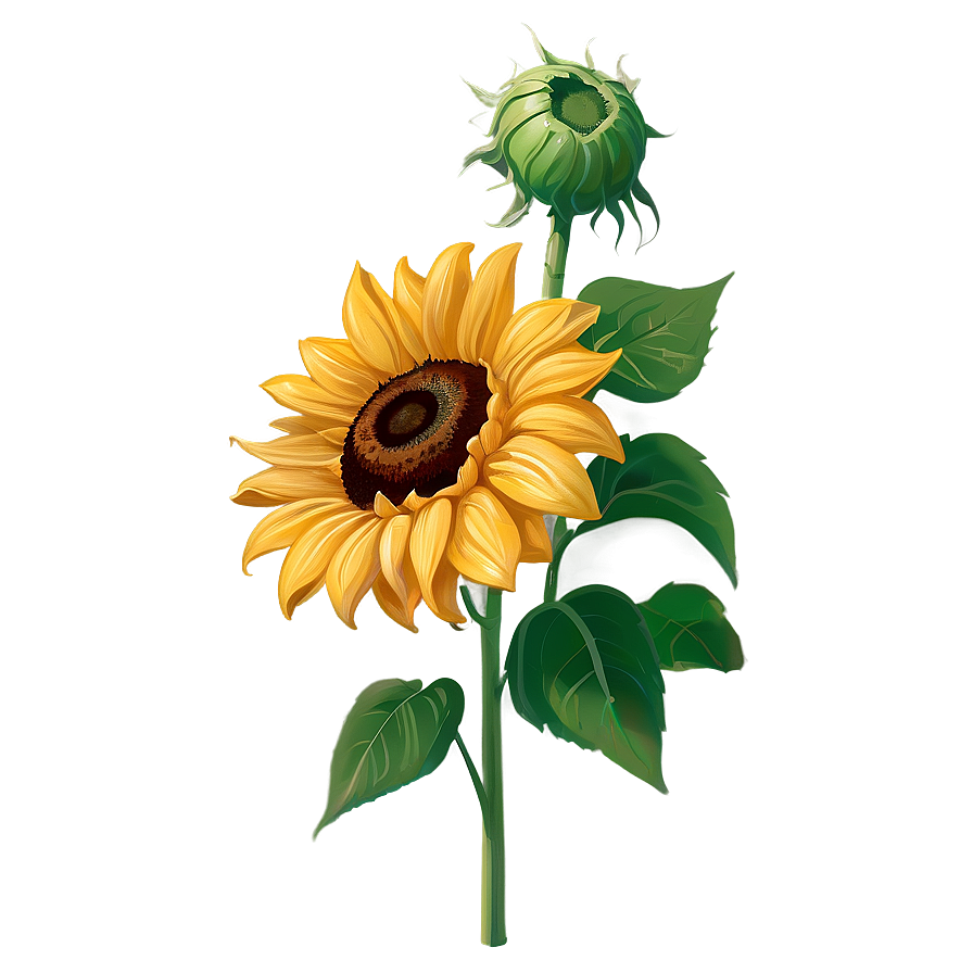 Vibrant Yellow Sunflower Png 05062024 PNG image