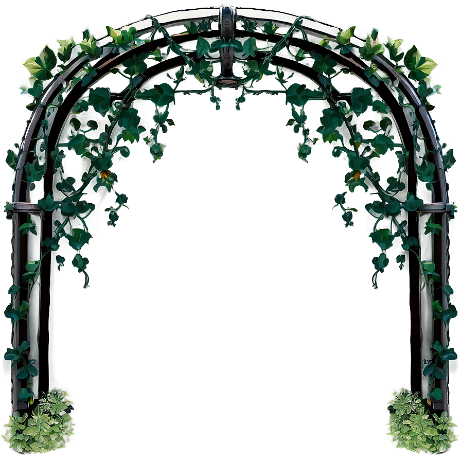 Vine Archway Entry Png Gkc PNG image