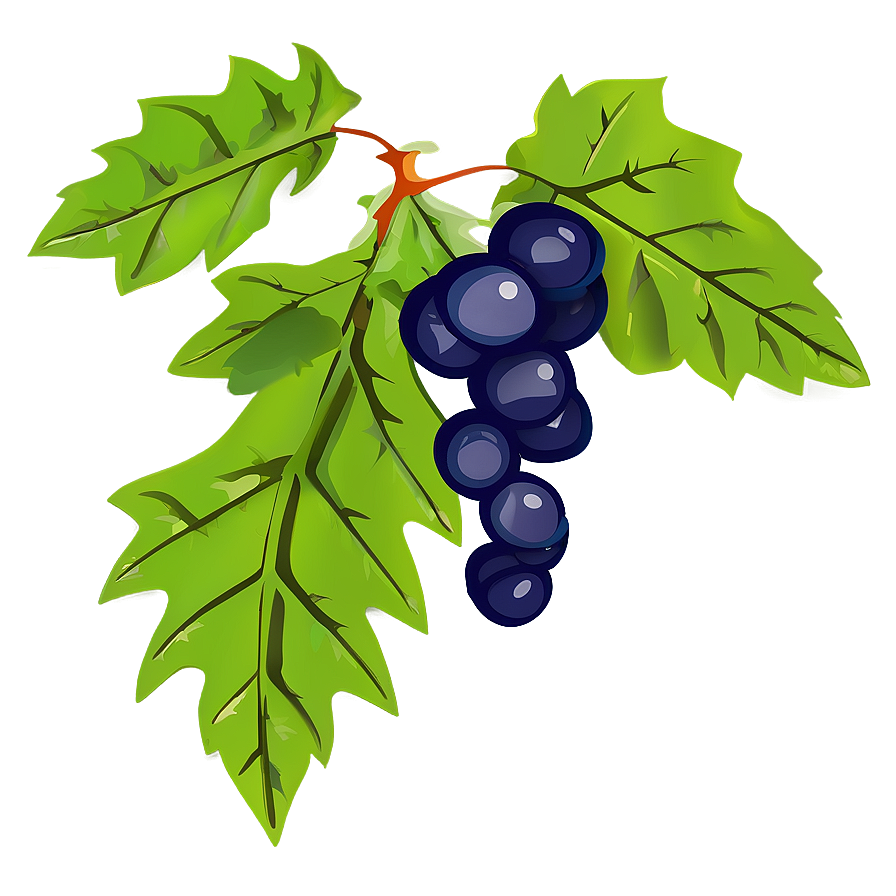 Vine Plant Clipart Png 06272024 PNG image