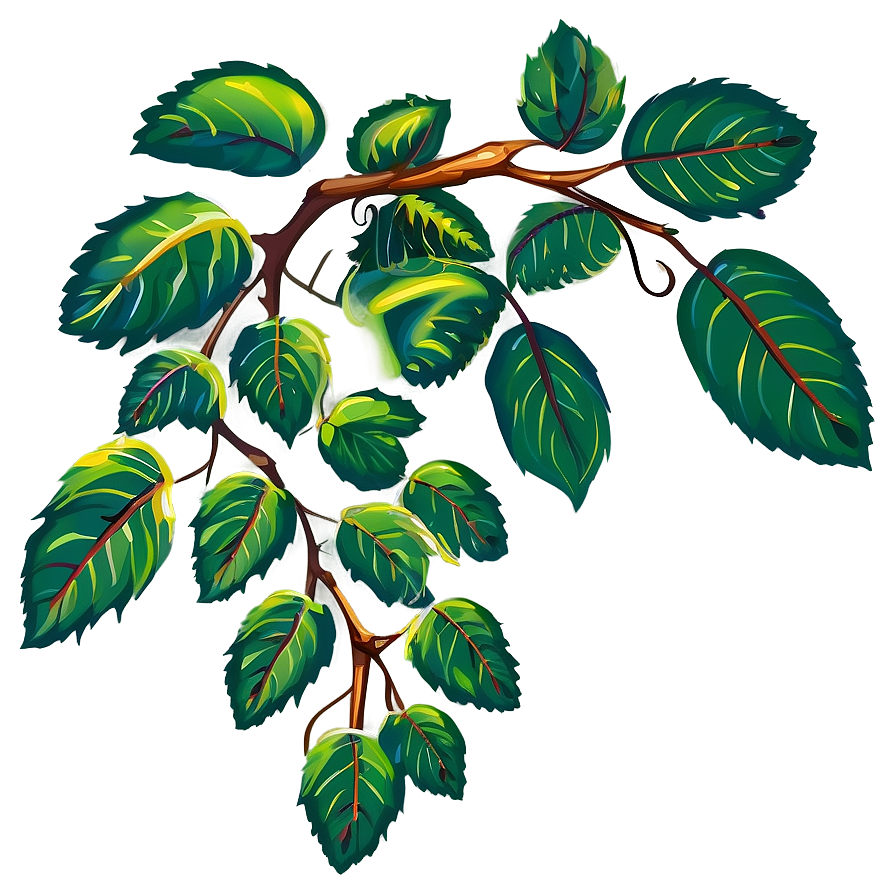 Vine Plant Clipart Png 06272024 PNG image