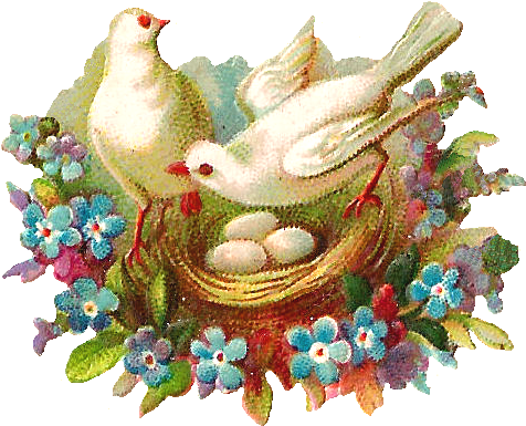 Vintage Birds Nest Floral Decoration PNG image