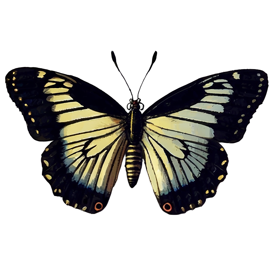 Vintage Black Butterfly Png 06252024 PNG image