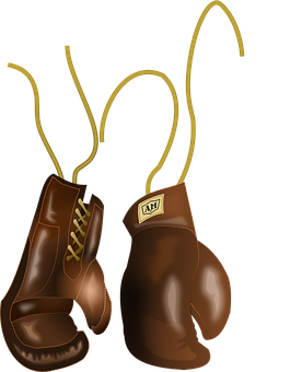 Vintage Boxing Gloves Illustration PNG image