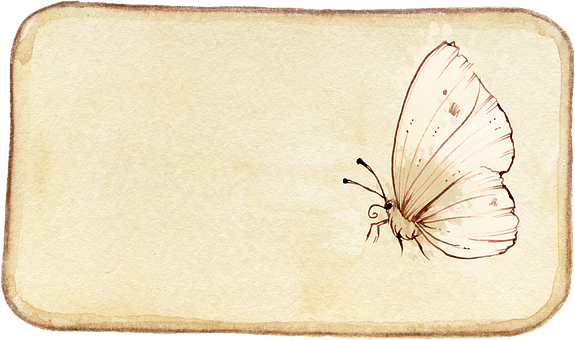 Vintage Butterfly Sketch PNG image