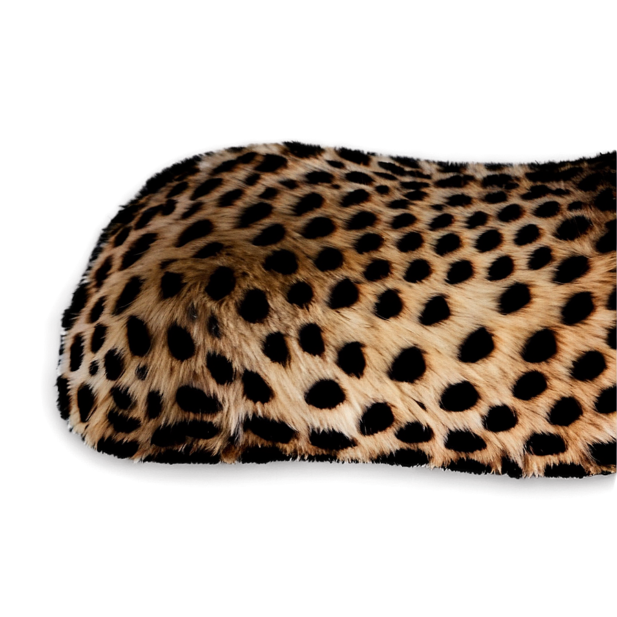 Vintage Cheetah Print Texture Png 7 PNG image