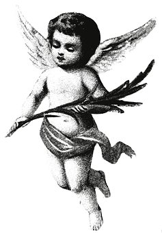 Vintage Cherub Angel Illustration PNG image