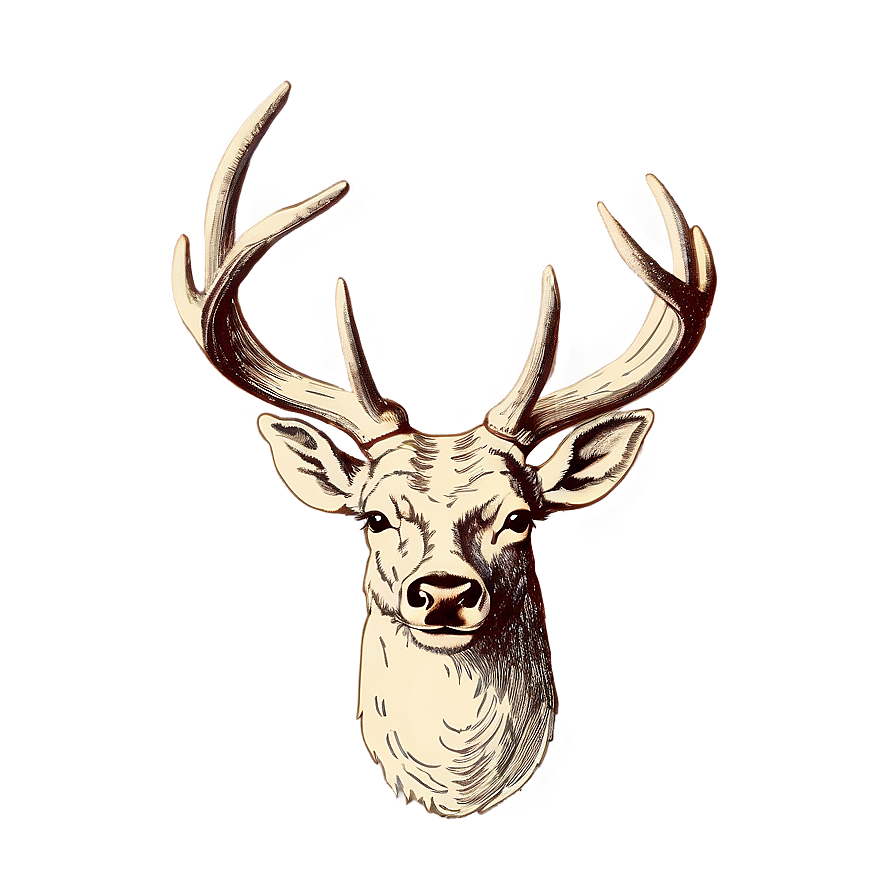 Vintage Deer Antler Sketch Png 70 PNG image