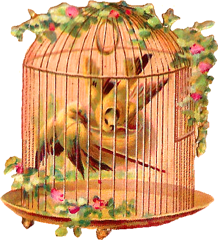 Vintage Floral Birdcage PNG image